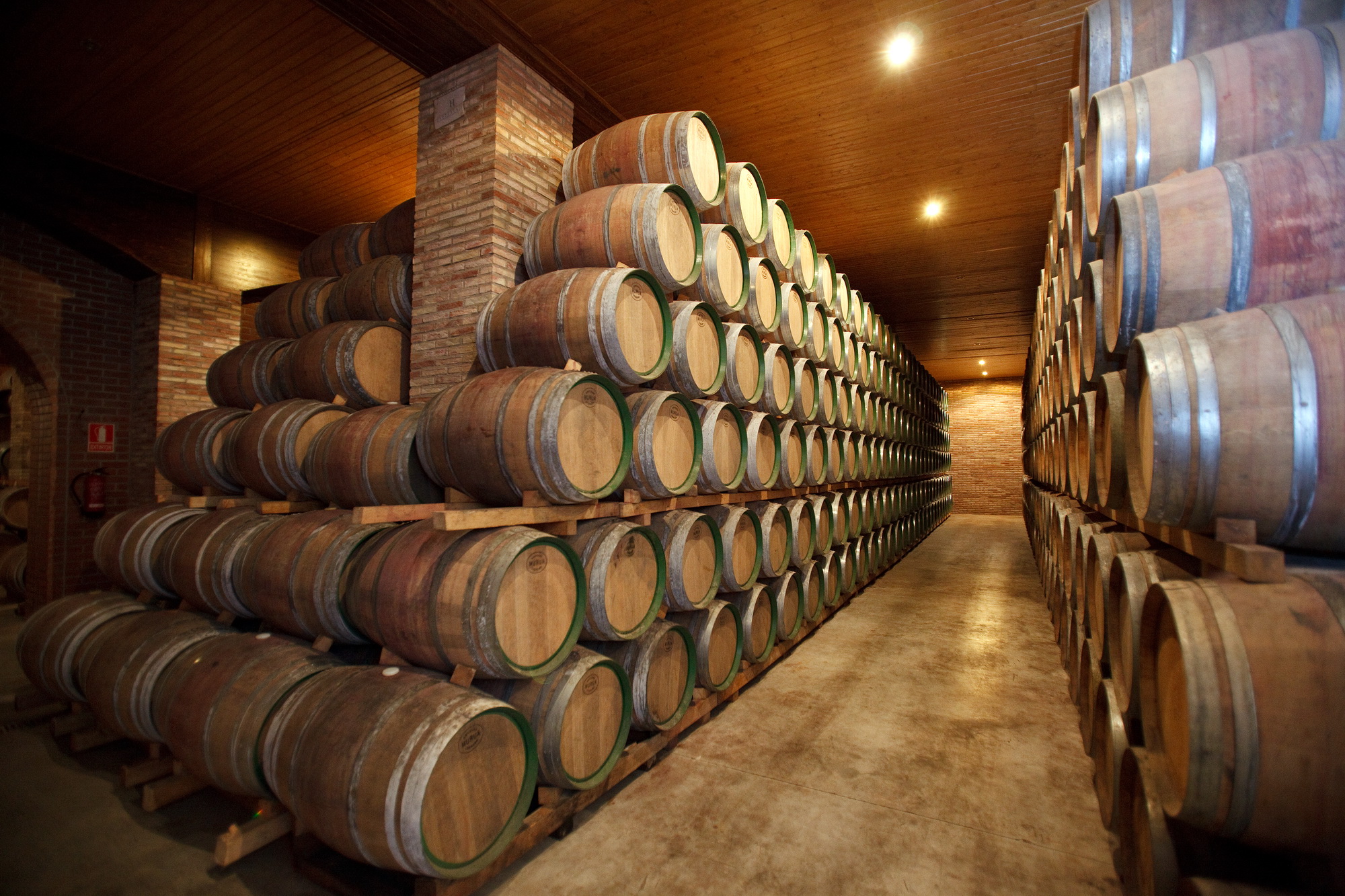 wine barrels in storage